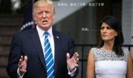 特朗普黑莉最新爆料,揭秘白宫内部权力斗争与外交争议